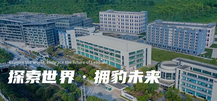 探索世界 拥豹未来